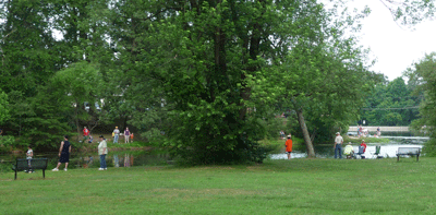 derby104.gif