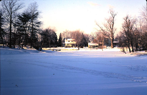 march1978p.jpg